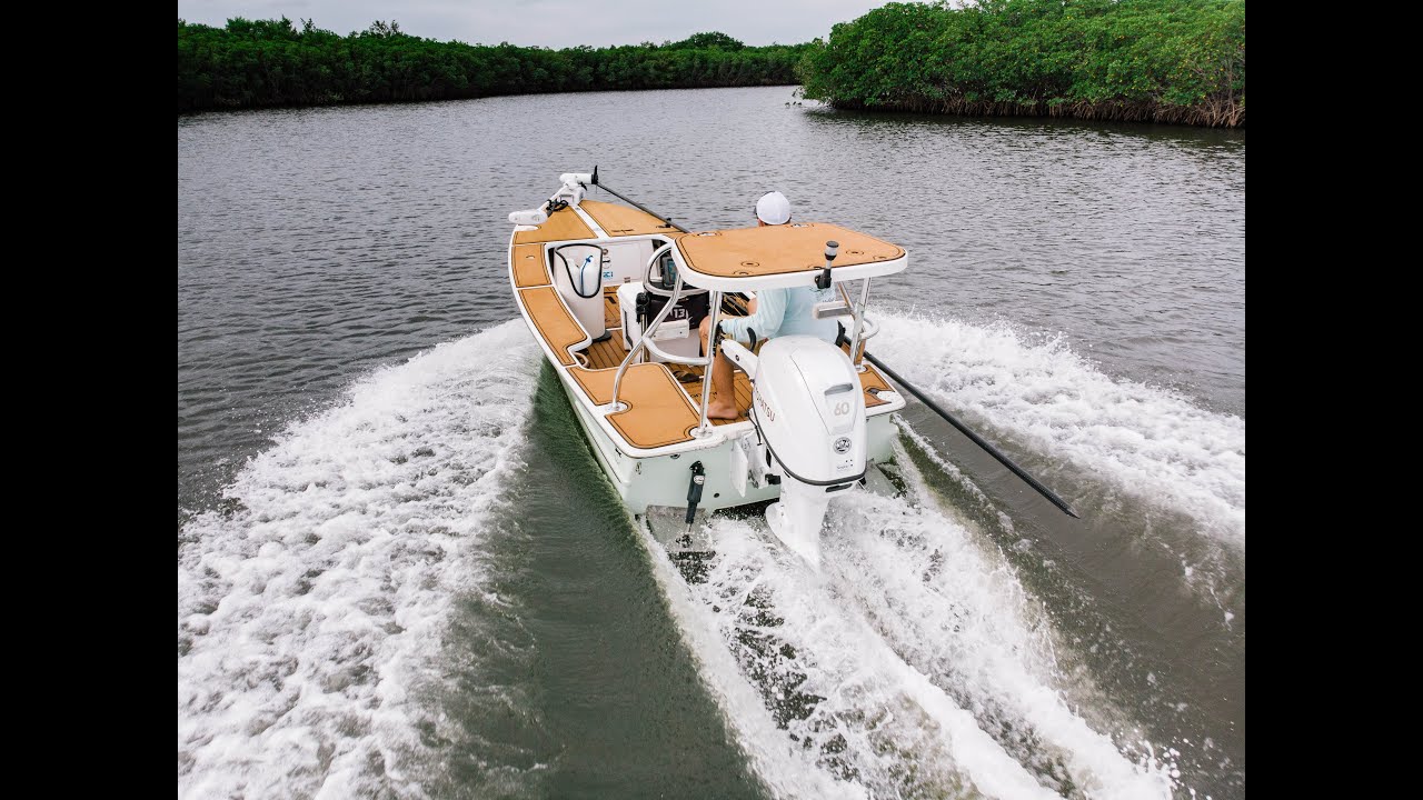 סדרת M — 2 פעימות